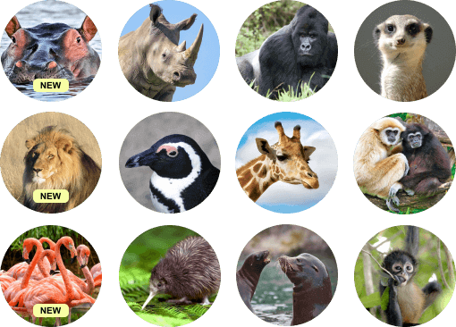Zoolife - The world's first live and interactive virtual zoo. - Santa ...
